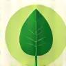 Feuille verte symbolisant écologie